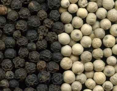 Black Pepper as Herbs that benefit Health and Body for Weight Loss.