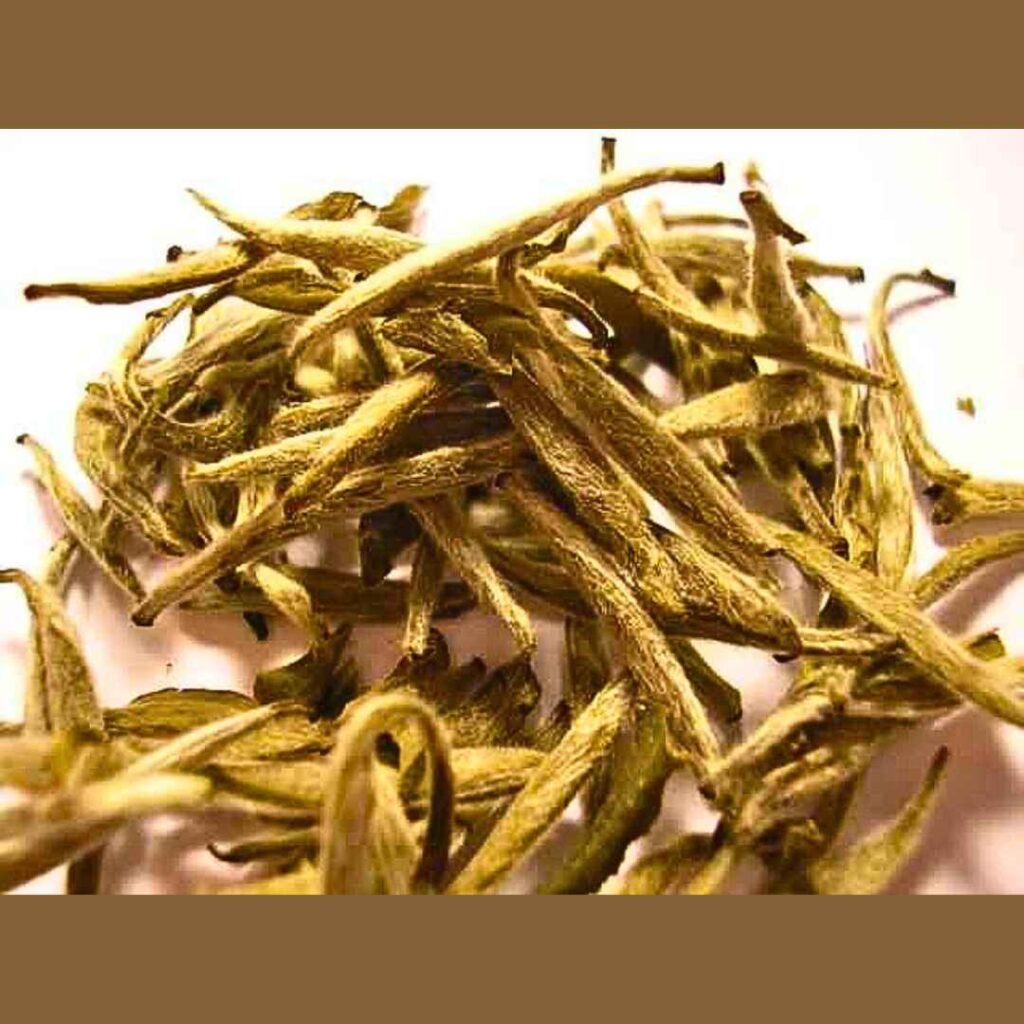White Tea Leaves.of variety White Bai Hao Yinzhen Tea leaves. White Tea Leaves often used as Top Anti-Ageing Herbs to slowdown Your Body Ageing.and Treat or Maintain Your Skin.