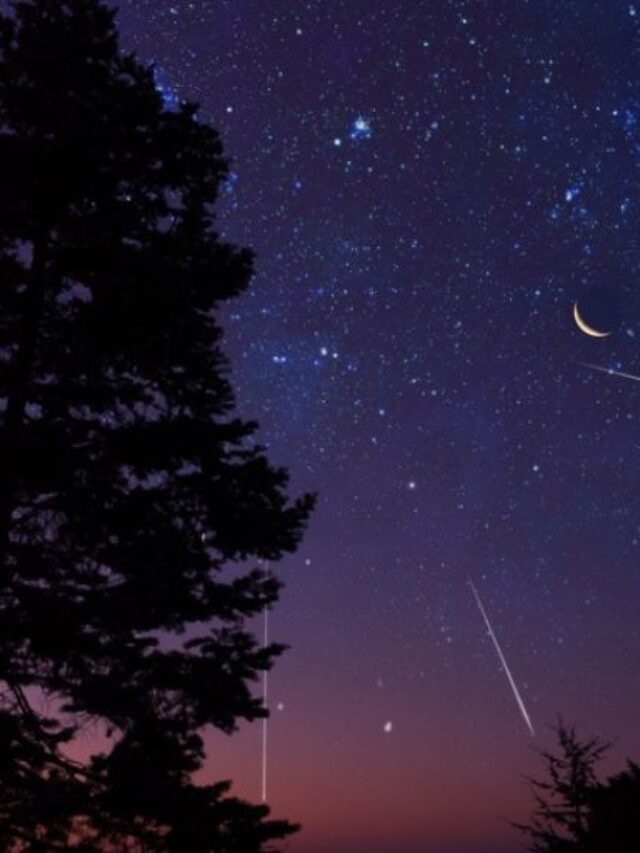 Poster Perseid