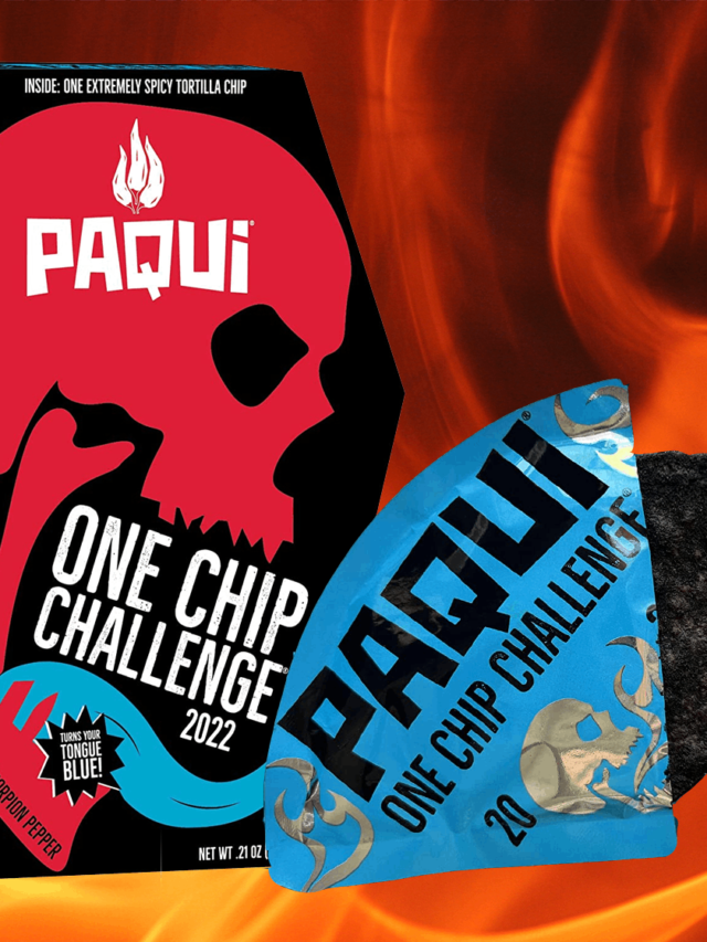 One Chip Challenge 15