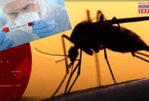 Understanding the Malaria Threat - A mosquito, the culprit behind malaria, and a researcher in a lab testing for malaria. Progress towards a Malaria Vaccine.