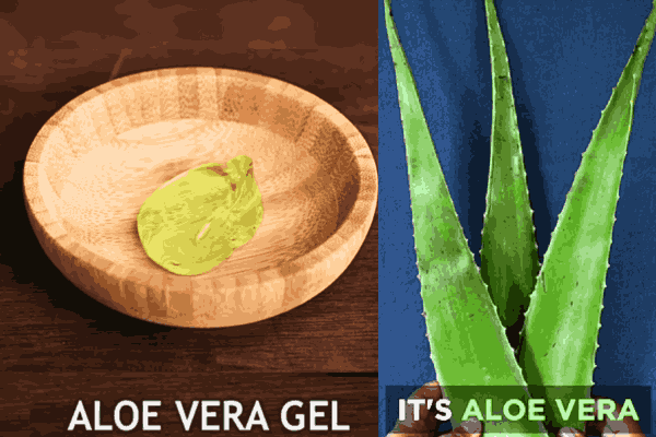 Aloe Vera Gel scrub for popping blackheads