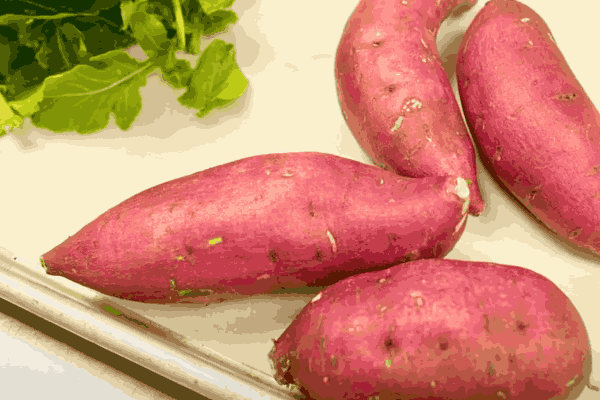 Freshly harvested purple Japanese sweet potatoes, showcasing the essence of Japanese Sweet Potato Nutrition.