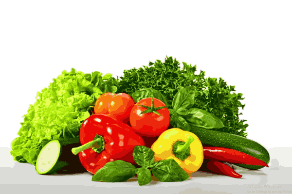 Assortment of Vegetables, highlighting various options of low carb vegetables