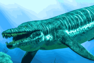Sea Monster: Illustration of the prehistoric sea monster Pliosaur