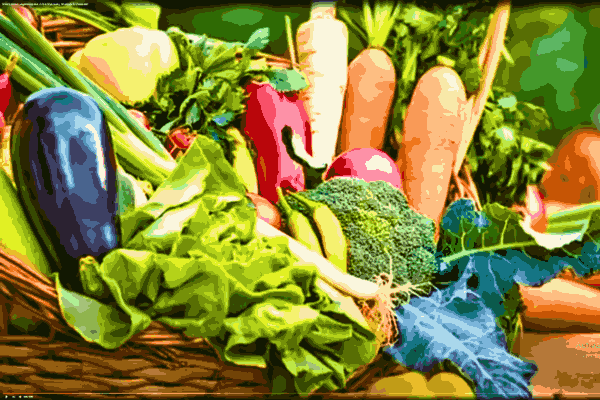Assortment of vibrant winter vegetables - capsicum, carrots, spinach, cauliflower, cabbage, and more.