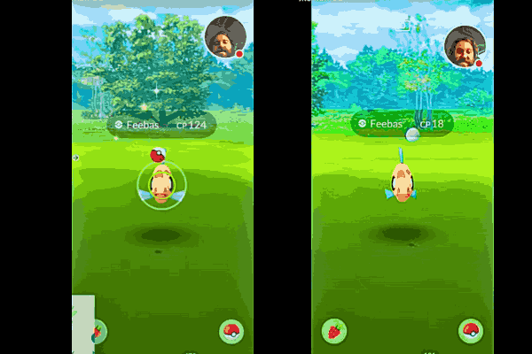 Trainer hunting Feebas during Spotlight Hour in Pokémon GO