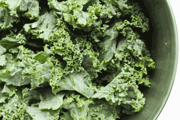 Nutrient-rich Kale Leaves, a powerhouse among low carb vegetables