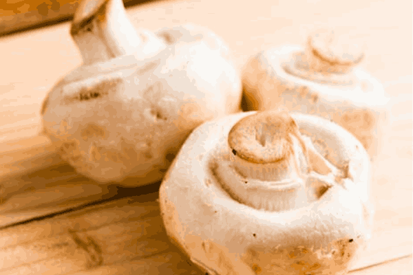 Mushrooms, renowned low carb Vegetables inflammation fighters