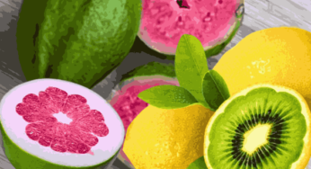 Handy Citrus Fruits List : Winter Health Transformation Essentials