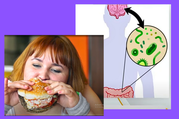 Illustration depicting junk food snacks affecting brain health, emphasizing the significance of dietary choices