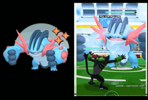 Mega Swampert in Pokémon GO Mega Raids, featuring powerful Grass-type counters and battle tips.