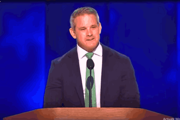 Adam Kinzinger speaking at the Democratic National Convention, critiquing the Republican Party's direction under Donald Trump.